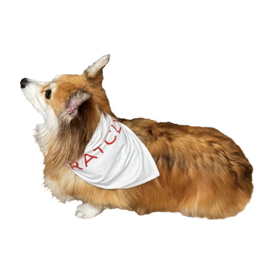 Pet Bandana